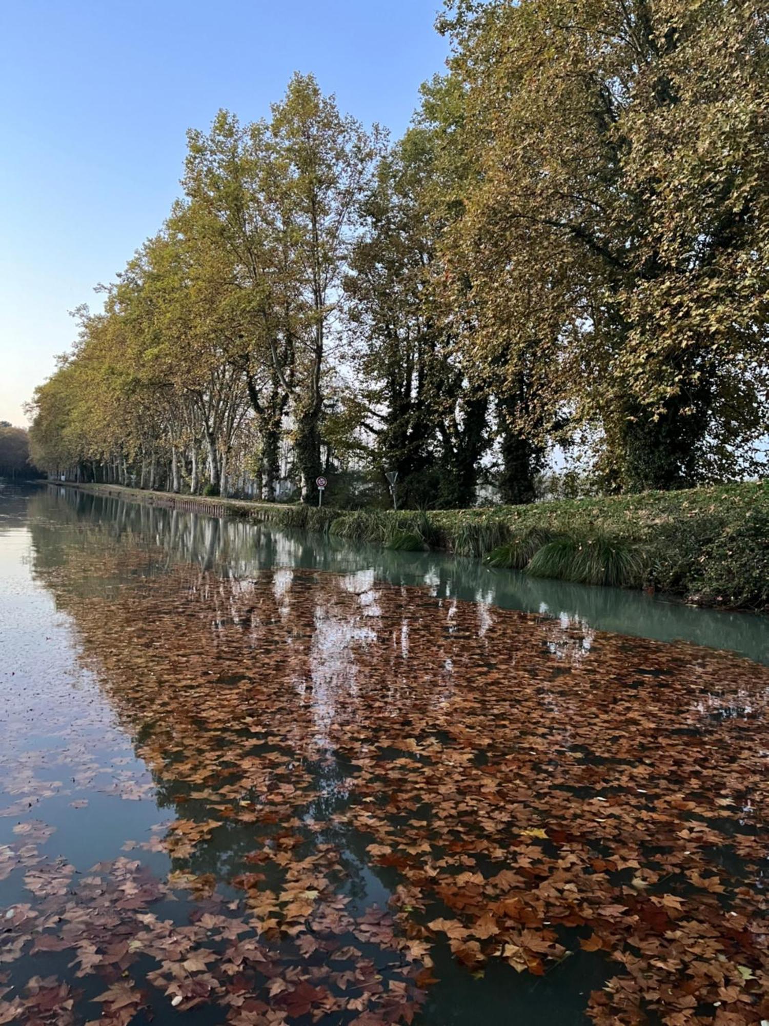 Maison Eclusiere Le Coup De Pompe Meilhan-sur-Garonne 외부 사진